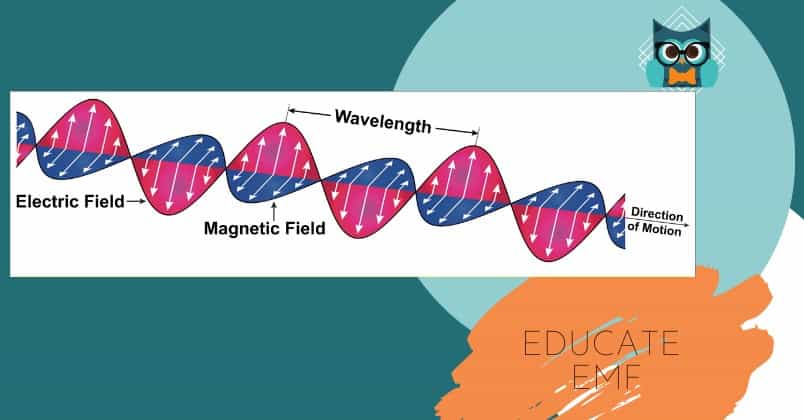 Electric and Magnetic Field waves